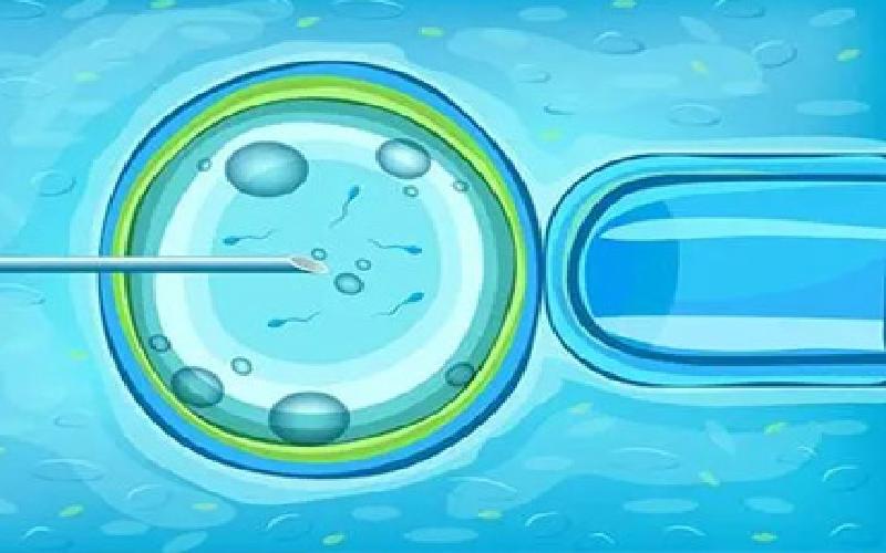 省妇幼试管建档代生